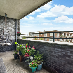 ブログ写真 (3).png